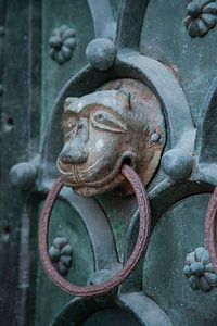 On frappe à la porte de la basilique Saint-Marc avec une tête de lion