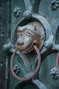 Klopper op de deur van San Marco Basiliek met leeuwenkop van Joost Adriaanse thumbnail