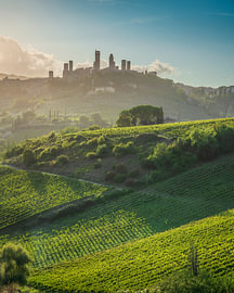 Die Türme und Weinberge von San Gimignano bei Sonnenuntergang, Toskana, Italien von Stefano Orazzini