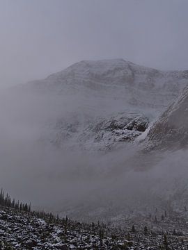 Mount Edith Cavell von Timon Schneider