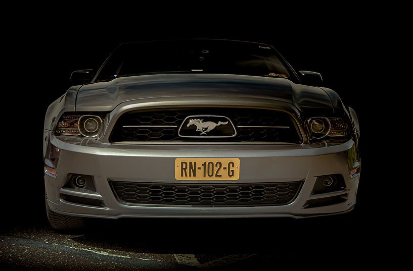 Mustang par marco de Jonge