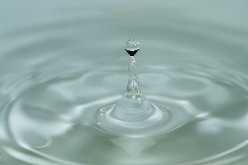 Drop it 1 - abandonner la photographie par QEIMOY