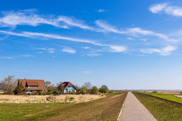 Historical houses in Vitte on the island of Hiddensee by Rico Ködder
