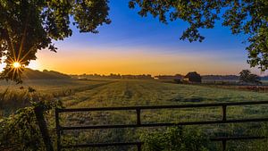 Morning Sun