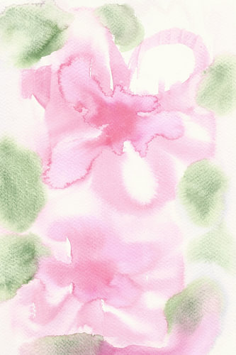Pink Daydream