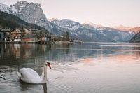 The Sweetwater Collection | Ausseerland