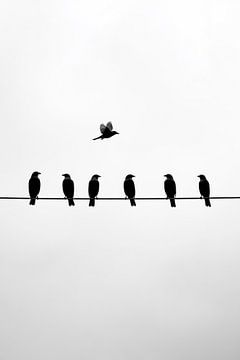 Birds in the shadow of the sky by Poster Art Shop
