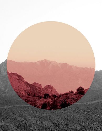 Vormen in de natuur IV