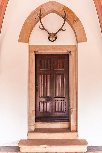A satinwood door with antlers above it