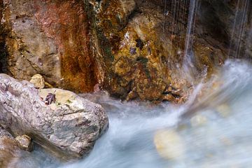 Herfstblad in stromend water van Willem Laros | Reis- en landschapsfotografie