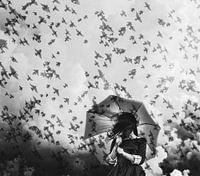 Wicked Dreams