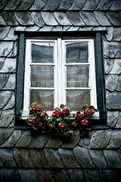 Rode bloemen van Jo Beerens