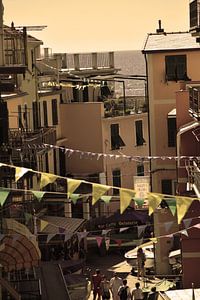 Cinque Terre Toskana Italien Alt