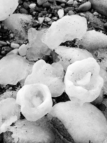 Ice Bowls by Jörg Hausmann