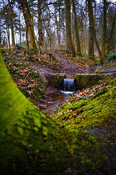 The Hemelse Berg in Oosterbeek an estate with streams, waterfalls and water features. by Sharon Hendriks