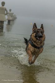 Enjoy by Irma Huisman