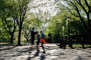 Central Park New York City von Eddy Westdijk