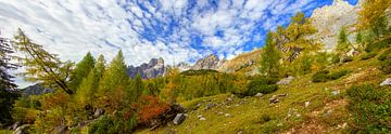 Herbstpanorama im Gosaukamm von Christa Kramer