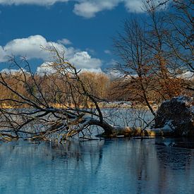 Dem Sturm zum Opfer gefallen von Thomas Riess