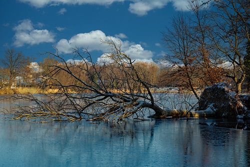 Victime de la tempête