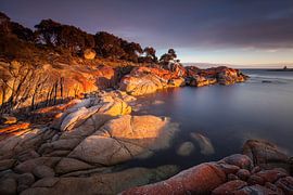 Bay of Fires - red shining granite rocks -