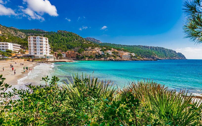 Beautiful island scenery on Majorca island, beach of Sant Elm by Alex Winter