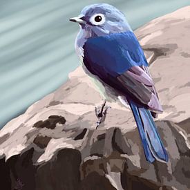 Blue bird on a rock by Alyssa van Niekerk