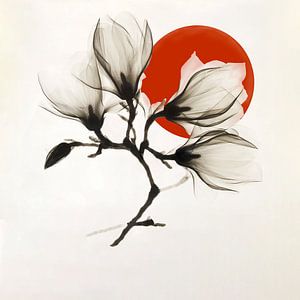 Magnolien-Sonnenuntergang