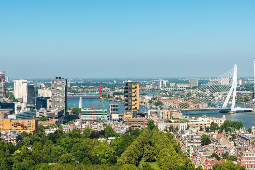 Rotterdam met de Erasmusbrug een vergezicht. by Brian Morgan