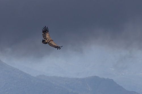 Dark clouds by Elsa Star