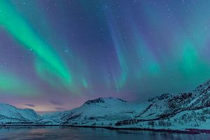 Nordlichter über den Lofoten in Norwegen