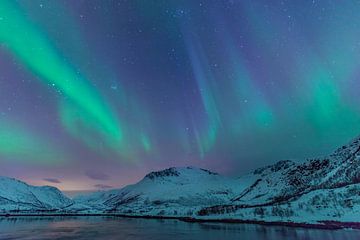 Noorderlicht boven de Lofoten eilanden in Noorwegen van Sjoerd van der Wal
