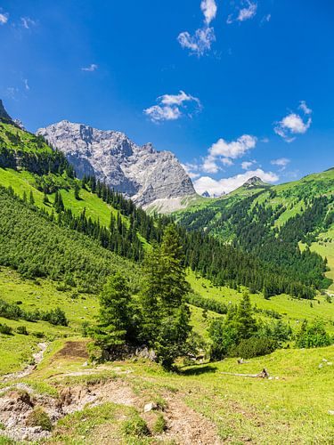 Landschap in het Rißtal bij de Eng Alm in Oostenrijk