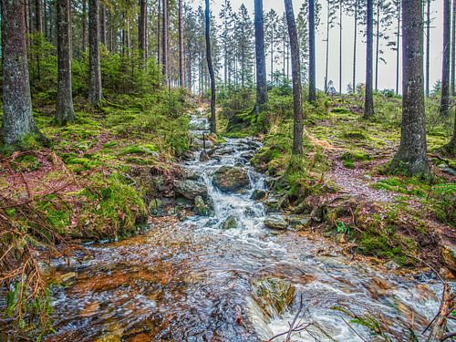 Petite chute d'eau dans une rivière