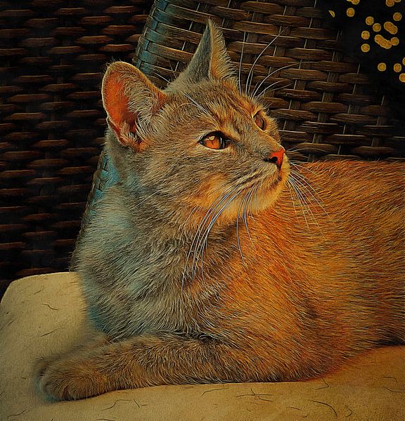 Krijg mijn beste profiel alstublieft van Dorothy Berry-Lound