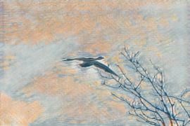 A bird's-eye view by Petra Hauwert