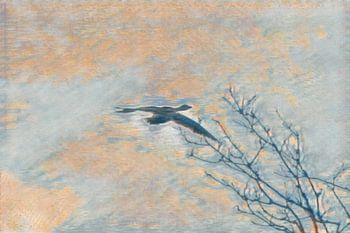 A bird's-eye view