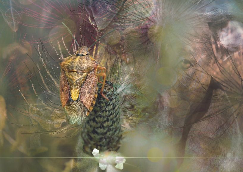 In the invisible world by Andreas Schulte