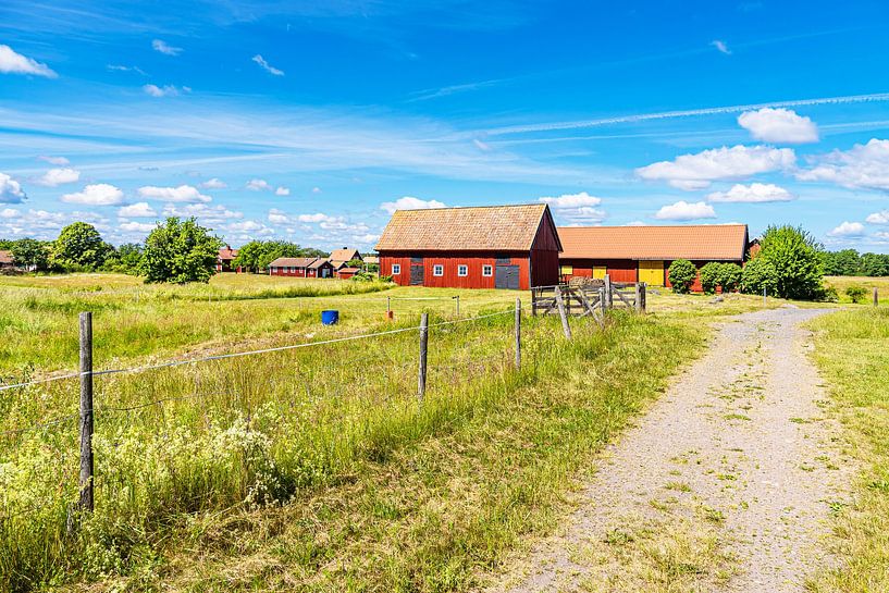 Rode houten huizen en pad op het eiland Sladö in Zweden van Rico Ködder