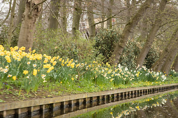 Keukenhof