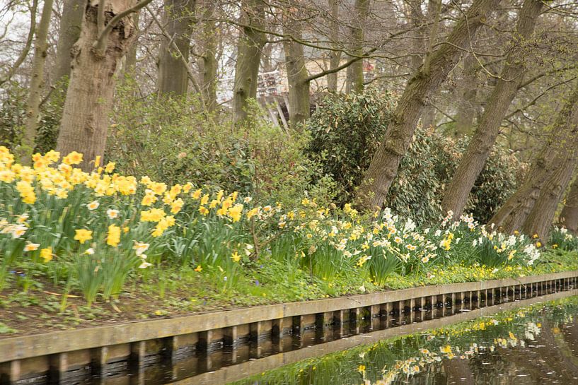 Keukenhof by Wendy Bierings