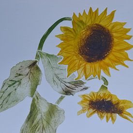 Zonnebloemen   B van Frank van Veen