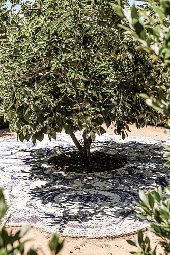 Vibrant Outdoor Installation