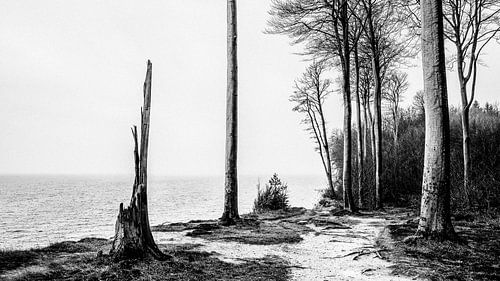 Op het Noordzeestrand
