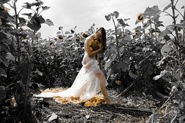 Sunflowers by Atelier Liesjes