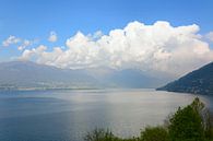 Lago Maggiore - Seeblick van Gisela Scheffbuch thumbnail