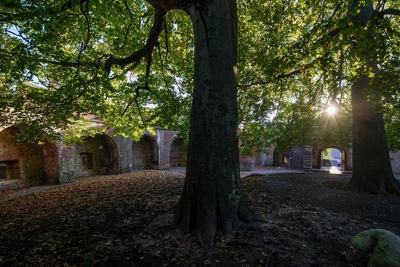 Das Schloss von Leiden von Dirk van Egmond