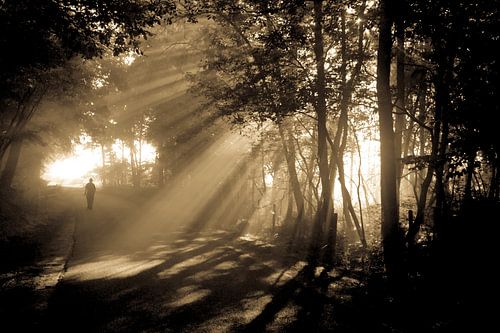 Man in de ochtendmist