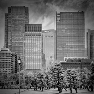 Striking Ginza Skyline Tokyo - Monochrome