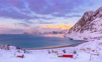Paysage d'hiver dans le nord de la Norvège sur Adelheid Smitt